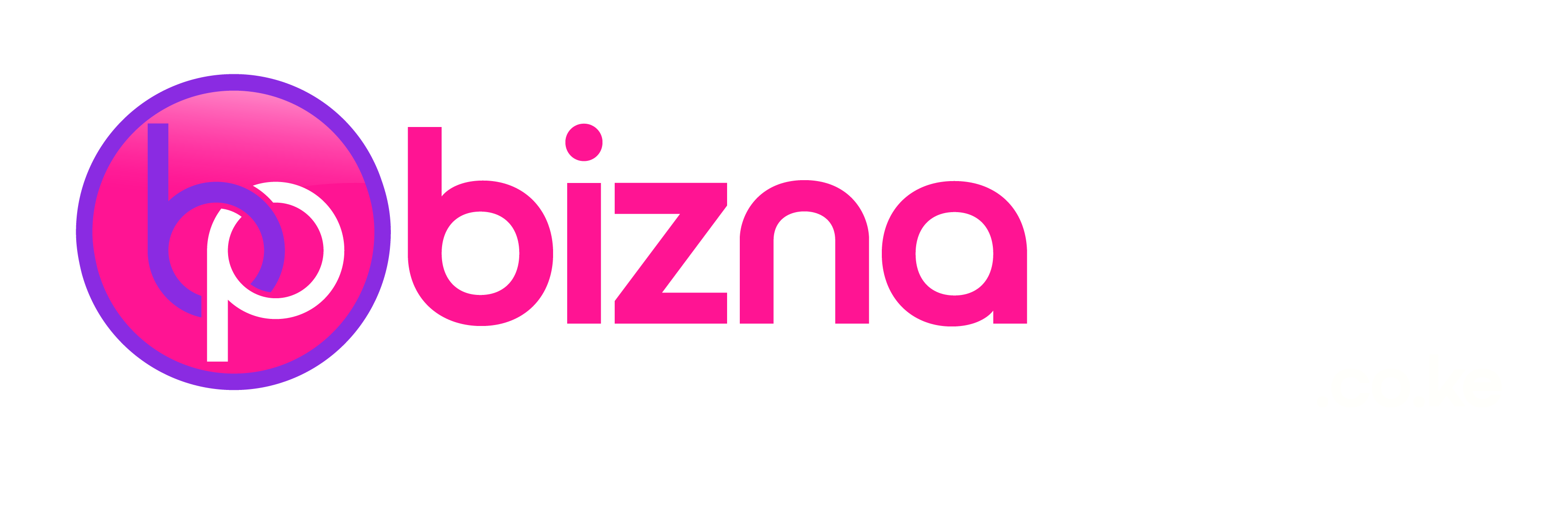 Biznapoa Solutions ERP logo